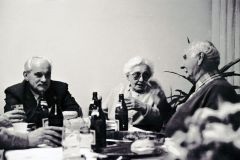 alb0230.jpg